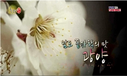 남도 끝자락의 맛, 광양