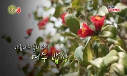 아름다운 물의 도시, 여수 밥상