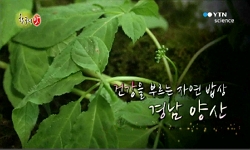 건강을 부르는 자연밥상, 경남 양산