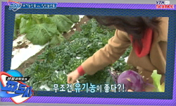 유기농산물 vs 일반농산물