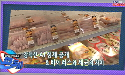 AI, 사람도 감염될까?