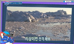 빨리 피는 꽃, 그 이유는?