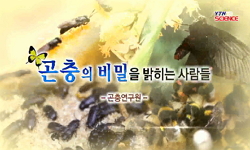 [무한상상 직업] 곤충의 비밀을 밝히는 사람들` - 곤충연구원