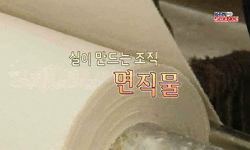 [SOM] 실이 만드는 조직, 면직물