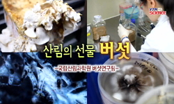 [무한상상 직업] 산림의 선물, 버섯 -국립산림과학원 버섯연구팀