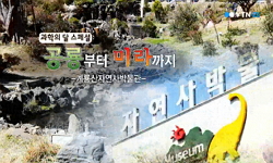 [무한상상 박물관] 공룡부터 미래까지 - 계룡산 자연사 박물관