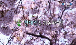 [과학향기] 숲 현대인을 치유하다!