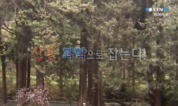 [과학향기] 산불, 과학으로 잡는다!